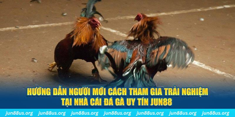 mcw 87 loi game dot kich ket noi may chu that bai