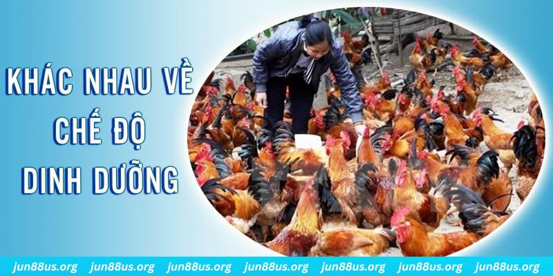 mcw 87 xổ số miền nam thứ năm hàng tuần