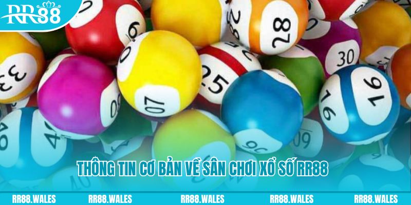 mcw 87 đá gà hôm nay