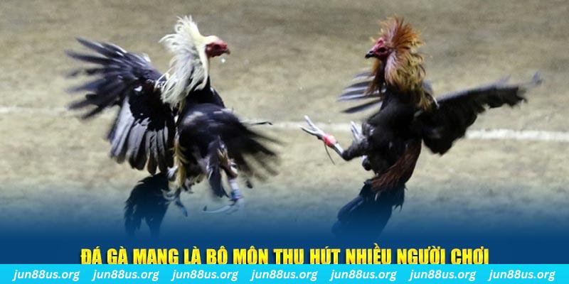 mcw 87 tại sao tải game bài sunwin không được