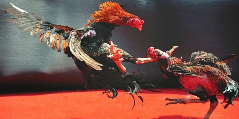 mcw 87 bắn cá h5 chơi ngay