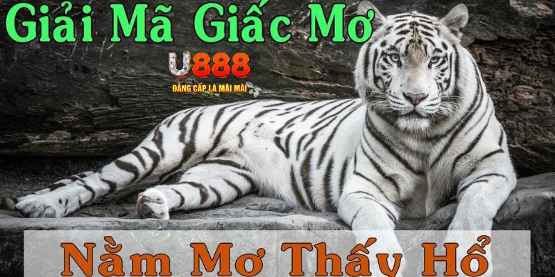 mcw 87 qq88 nổ hũ bắn cá