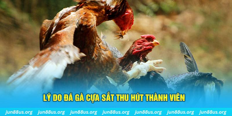 mcw 87 chiếm slot là gì