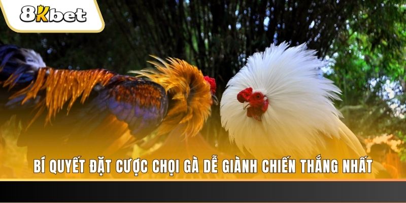 mcw 87 xổ số thứ hai hàng tuần