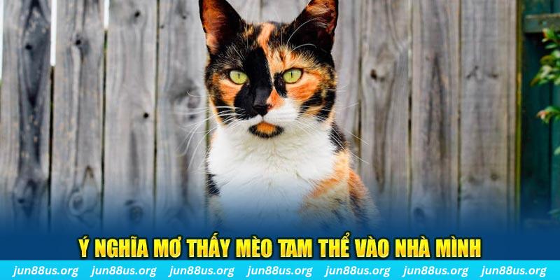 mcw 87 RTG Bắn cá