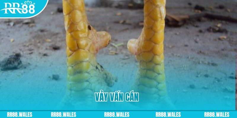 mcw 87 đăng nhập nổ hũ hôm nay