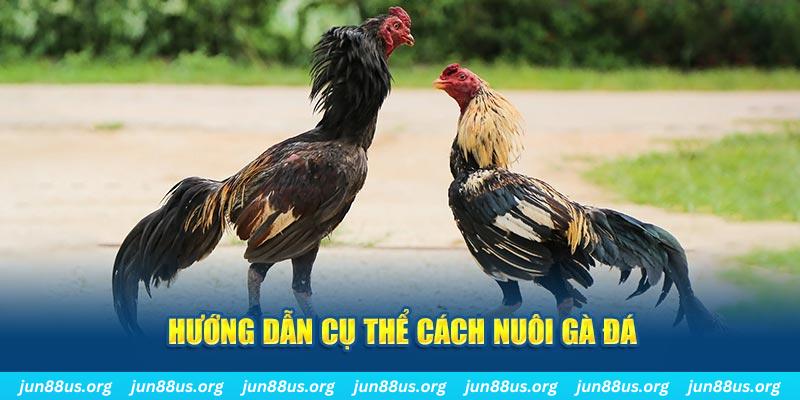 mcw 87 đăng nhập sòng bạc số 1