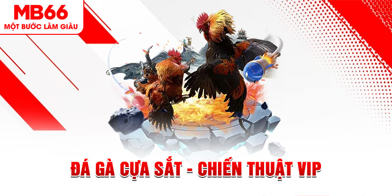 xổ số trực tiếp hôm nay