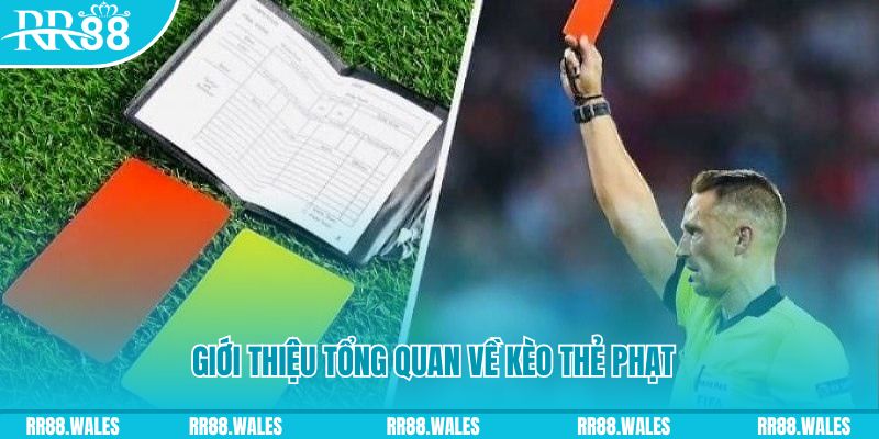 mcw 87 những ai nên chơi nổ hũ