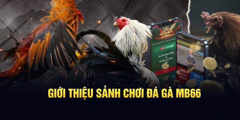 mcw 87 đăng nhập poker hôm nay
